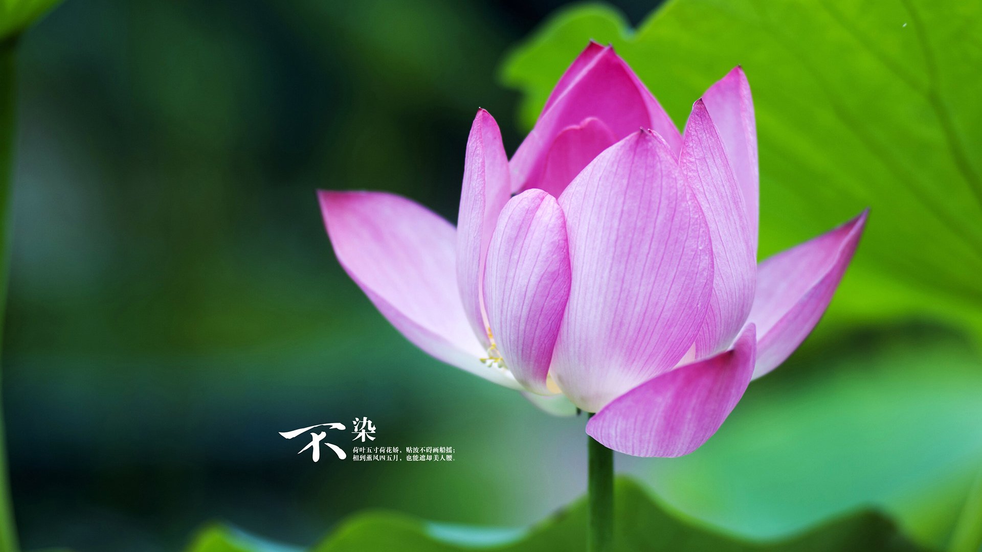 kaiyun-【规则知多少】犯规后如何迅速判定并最大化获分？，犯规数到了是什么意思