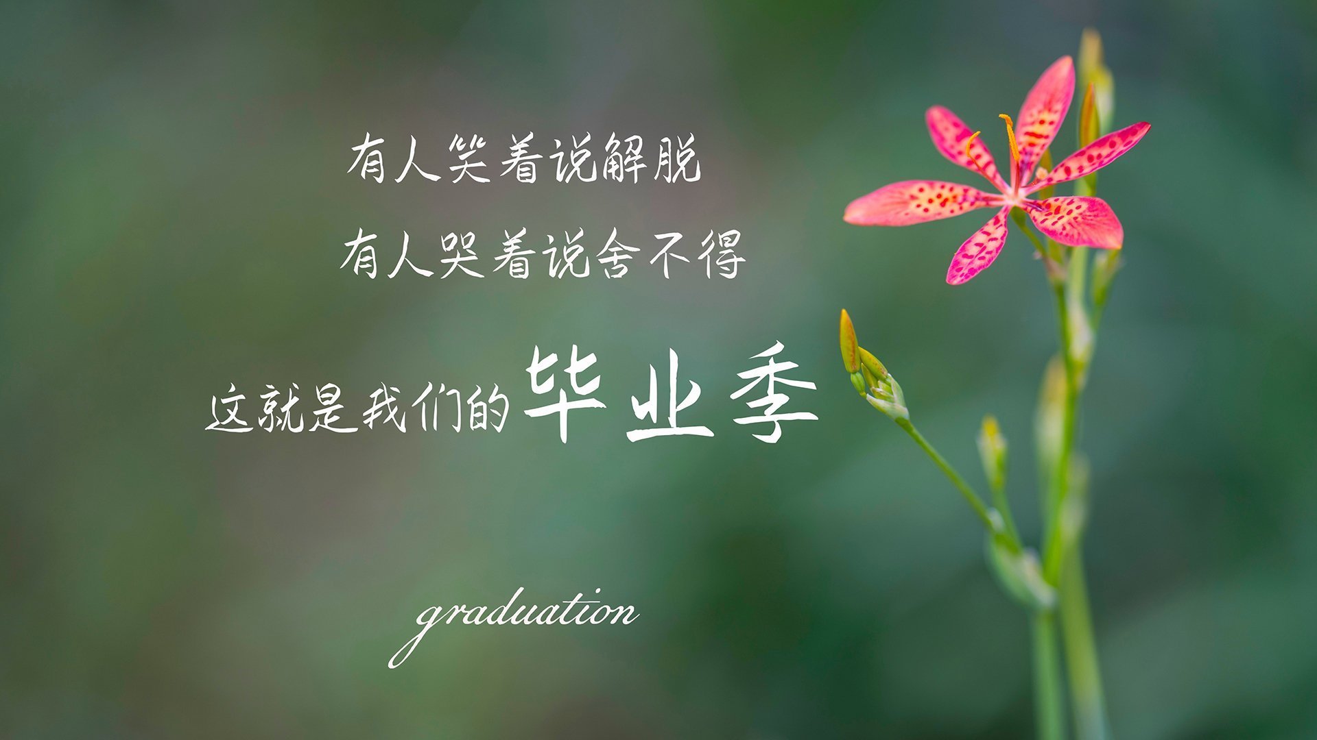 开云体育官方app-赛季中外援强势崛起，带来“新能量”，2021季后赛外援使用规则