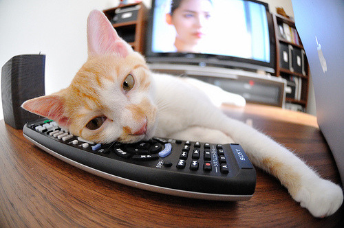 SN战队主场观众热情高涨,sn战队smlz