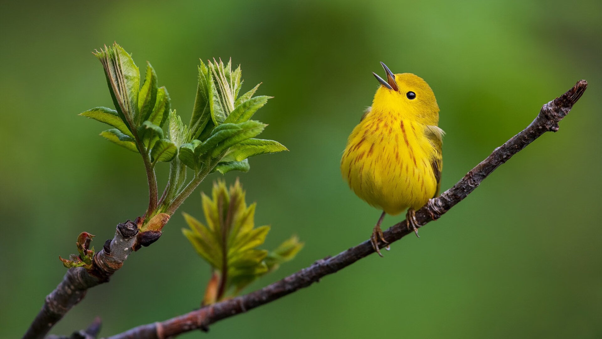 开云体育娱乐app安全-孙可破门辛酸落败，力压恒大仍领跑积分榜，恒大孙轩