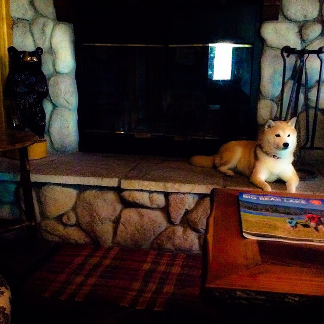 开云体育首页-日本女足联赛新星崭露头角，赢得球迷喝彩，日本女足颜值担当