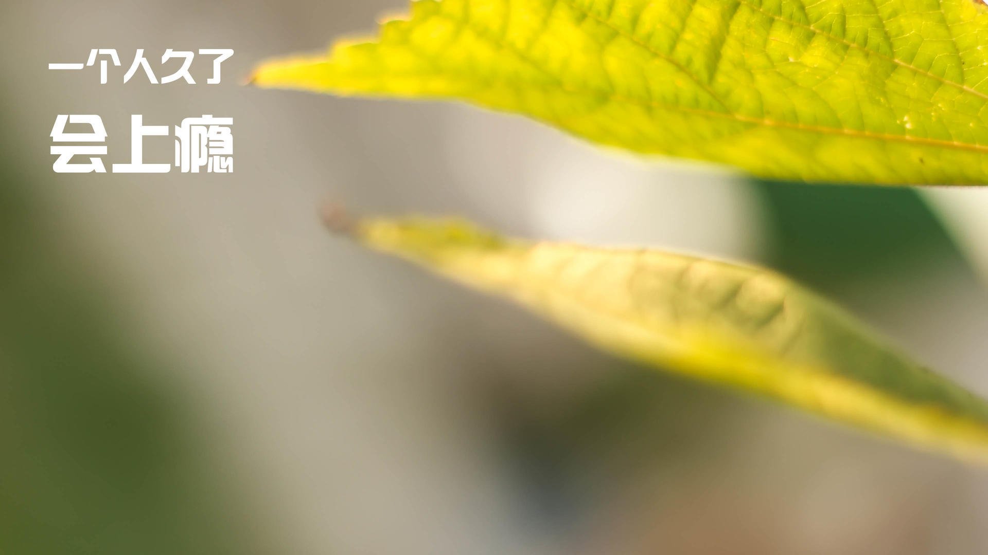 kaiyun app download-普拉提课程与营养指导结合，促进健康生活方式，普拉提课程简介