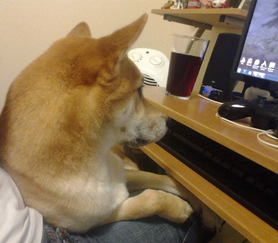 中国女篮不断优化攻守节奏，中国女篮进步